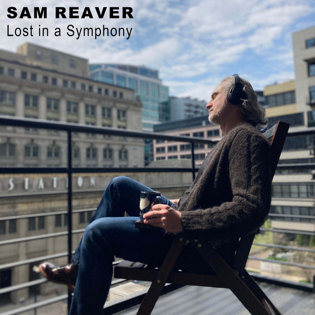 Sam Reaver_Sarcastic War