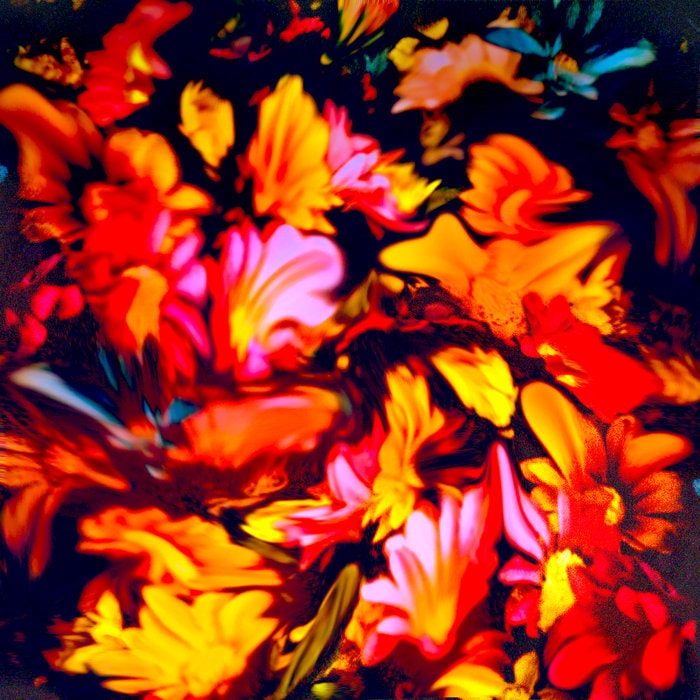 Karras Wildflowers Album Art