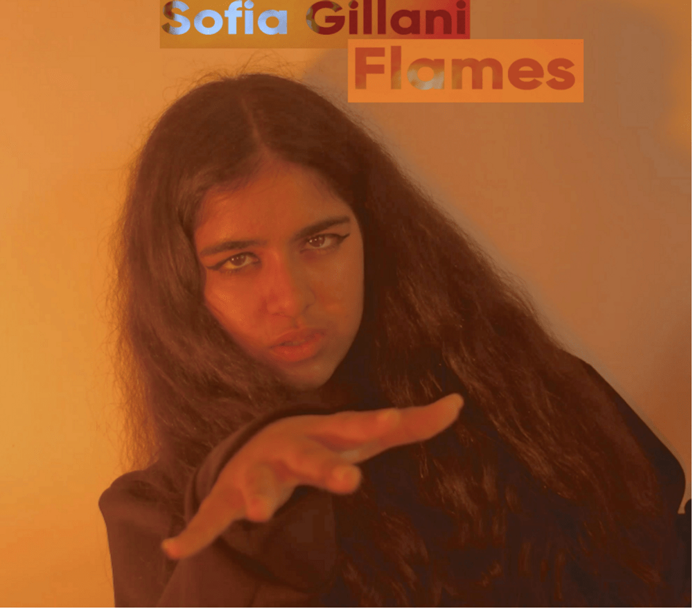 Sofia Gillani - "Flames" cover art