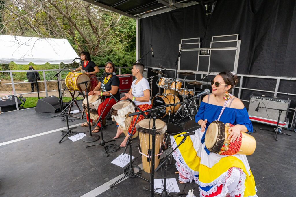 Performers at Down In The Reeds Festival