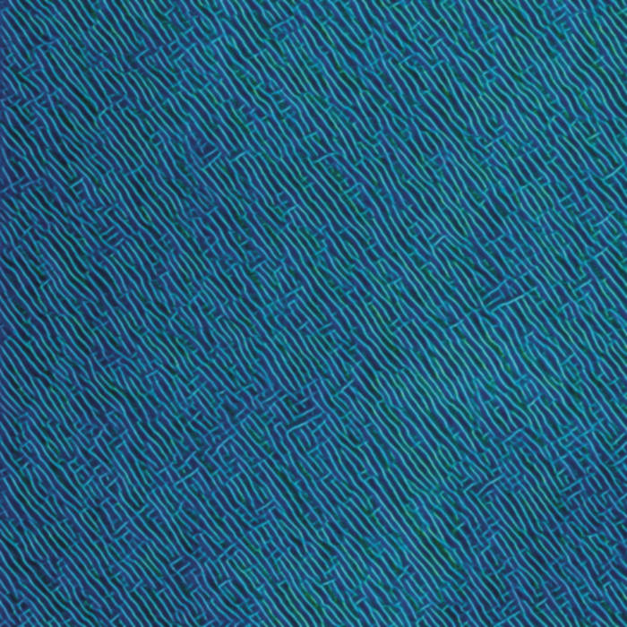 Junior Choir - Pins and Needs - Album Art