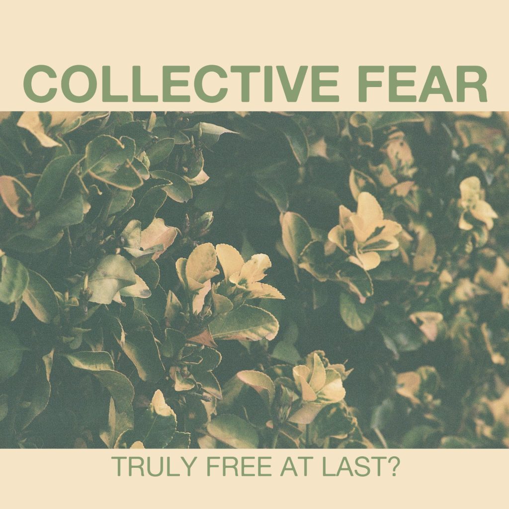 Collective Fear - Truly Free At Last? - album art with spring flowers.