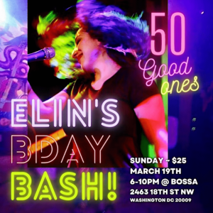 Elin's Birthday Bash poster
