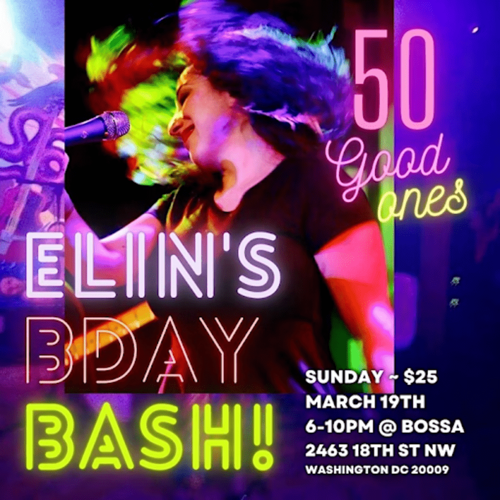 Elin's Birthday Bash poster