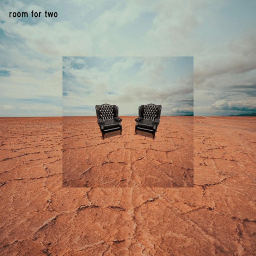 "Room for Two" - Ilan Rubin cover art