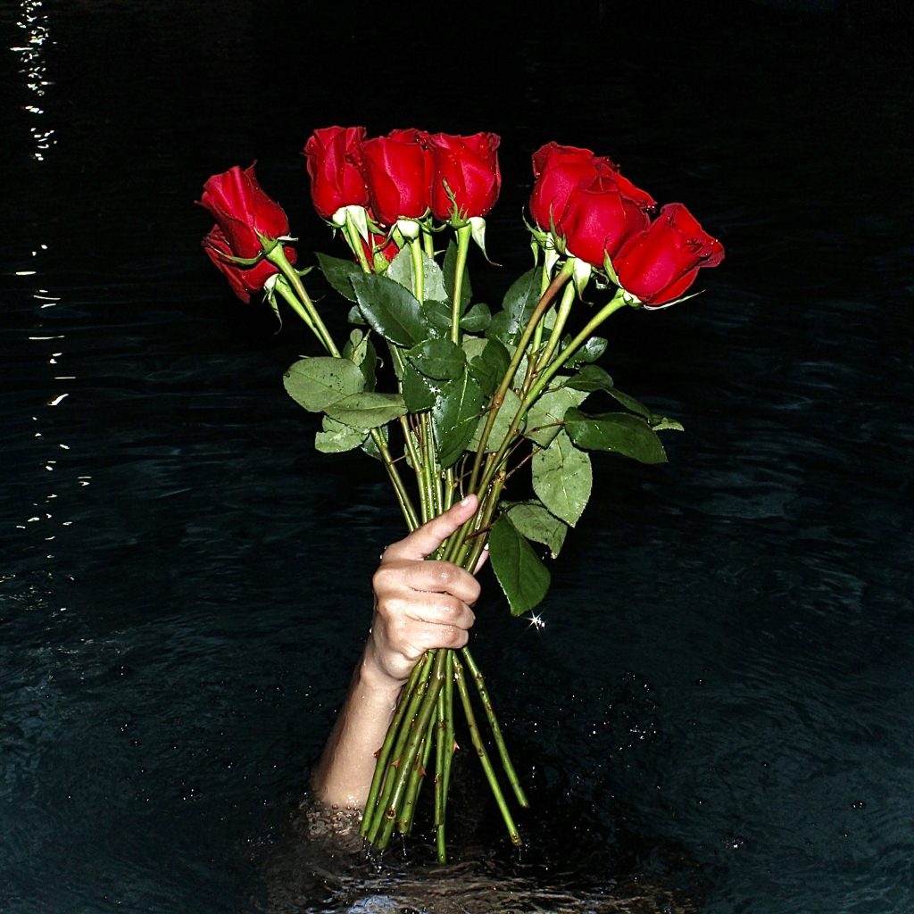 Cover art for blue capricorn's upcoming single; a hand sticking out of water while holding a bouquet of roses.