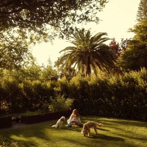 A woman and a pair of dogs sit in a grassy tropical garden paradise.