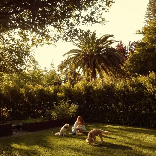 A woman and a pair of dogs sit in a grassy tropical garden paradise.